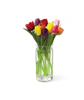 The Bright Lights Bouquet The Bright Lights Bouquet